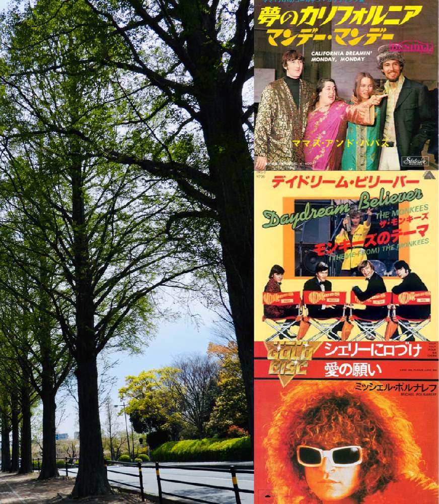 メタセコイアの投稿画像 By ねこたんぽさん 下関 彦島の風景と評論シリーズと季節感とnikon Coolpix P1000と音楽と道端徘徊同盟 月4月16日 Greensnap グリーンスナップ メタセコイアの投稿画像 By ねこたんぽさん 下関 彦島の風景と評論シリーズと季節感とnikon Coolpix P1000と音楽と道端徘徊同盟 月4月16日 Greensnap グリーンスナップ