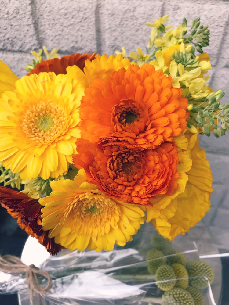 ガーベラの投稿画像 By メリアンサスさん キンセンカと葉牡丹とクラスペディア ゴールドスティックときいろと花瓶とビタミンカラーと葉牡丹のお花と花のある暮らしと元気カラーと花束 月4月16日 Greensnap グリーンスナップ