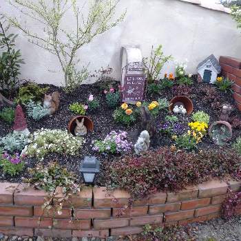 可愛いお庭の投稿画像一覧 Greensnap グリーンスナップ