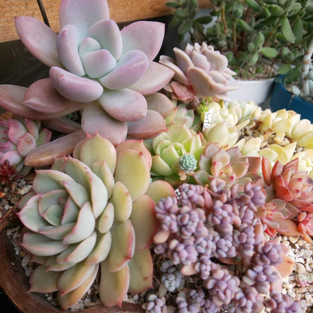 備忘録その 土について Greensnap グリーンスナップ