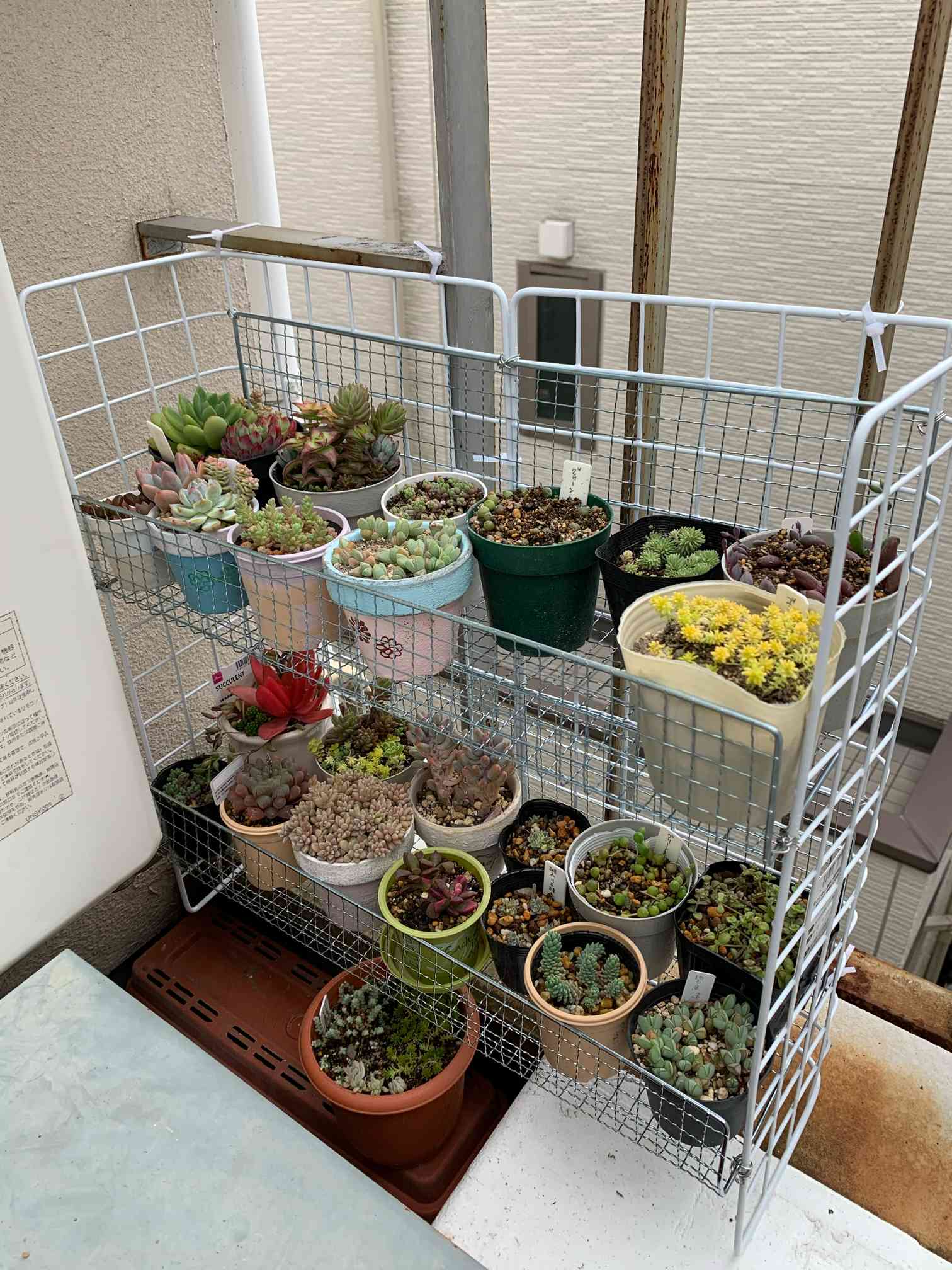 ワイヤーネットでサブ棚｜🍀GreenSnap（グリーンスナップ）