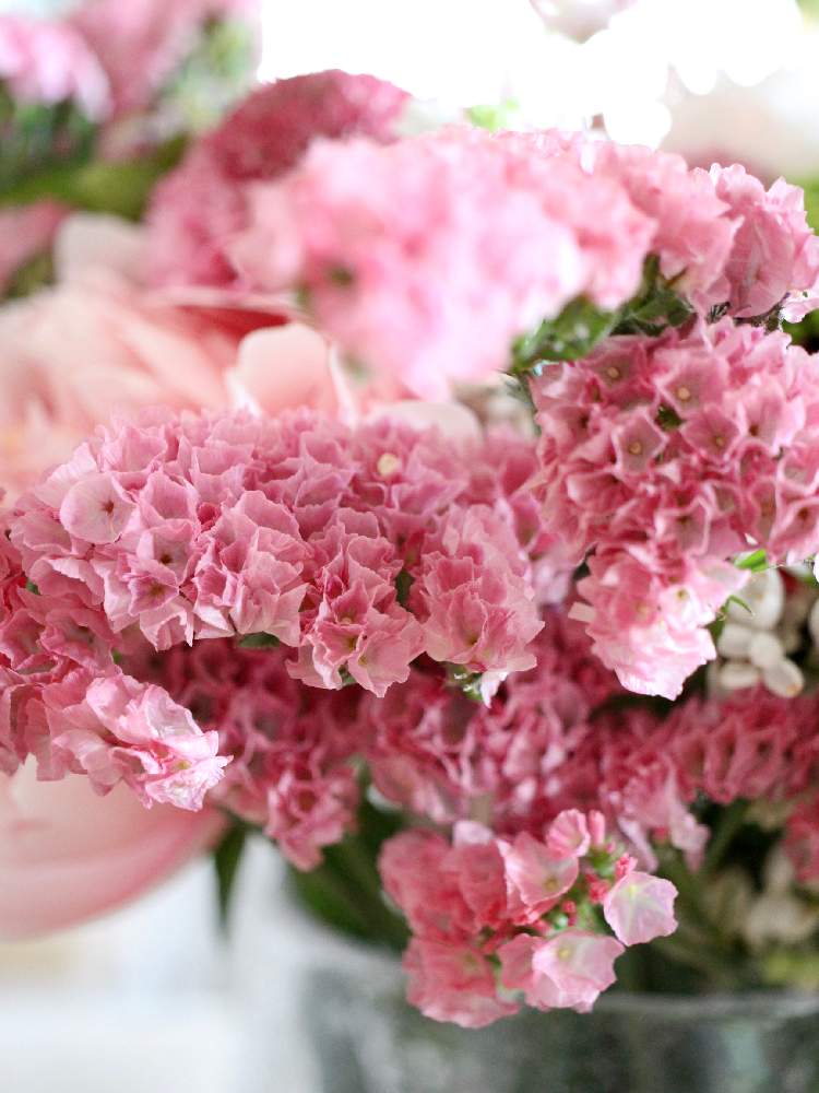 スターチスの投稿画像 By Kaneyukiさん Mallowとマクロレンズと花いっぱいプロジェクトとこういう時こそお花を飾ろうとブーケと花束 月4月23日 Greensnap グリーンスナップ