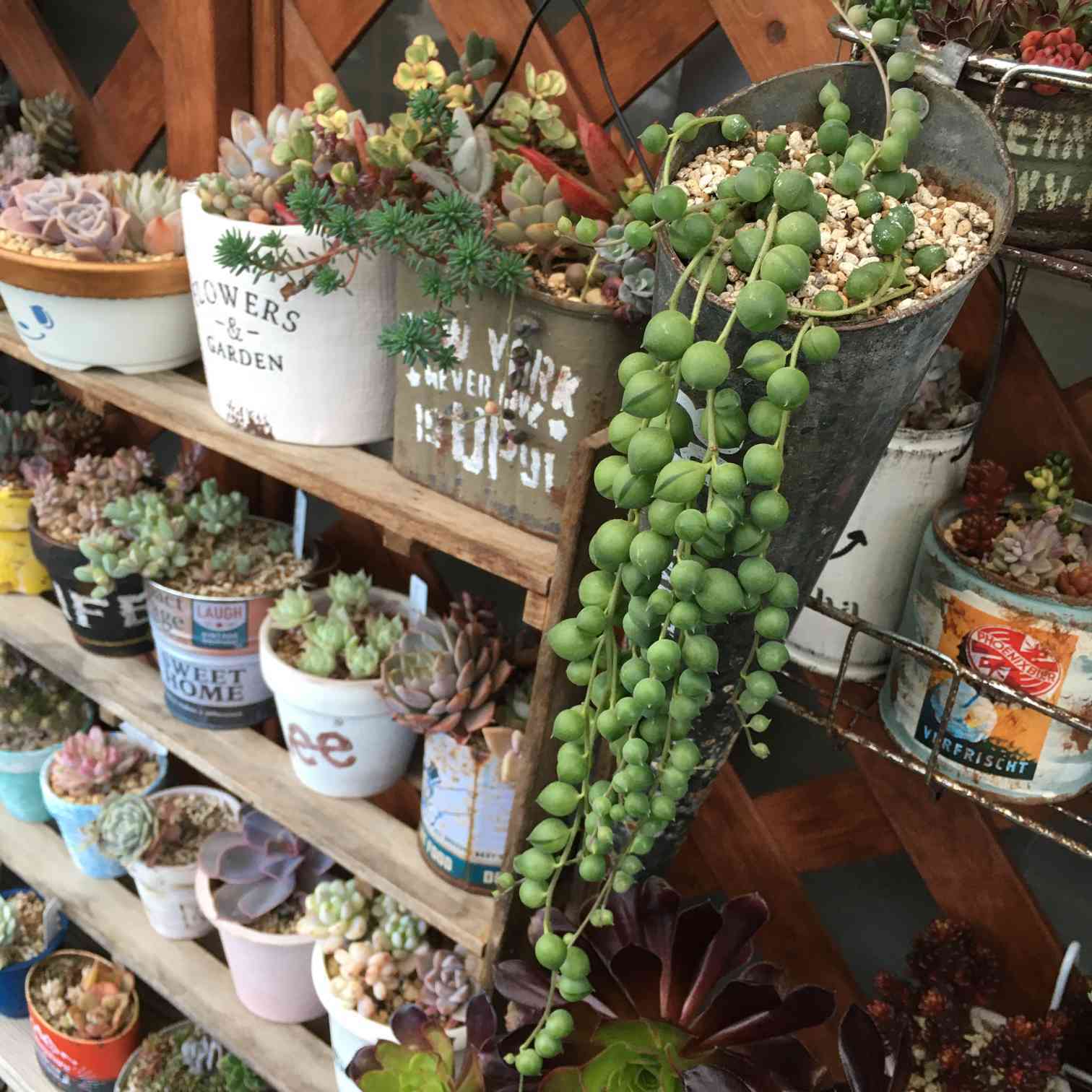 ぷしゅ❇️❣️ グリーンアメジストすずらん＆コーネルピン他 碌山 グリーンアメジスト アメジスト リング RP 204R0355-GAM