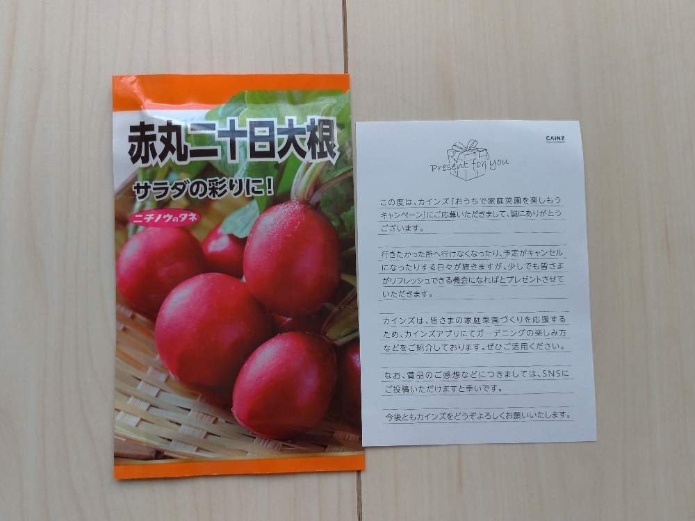 観葉植物の投稿画像 By クーピーさん 家庭菜園とハイドロカルチャーとおうち園芸とカインズと水耕栽培と園芸初心者 月4月25日 Greensnap グリーンスナップ