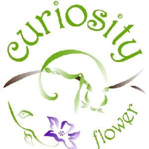 Curiosity Flower Design Studio