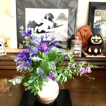 花と器の画像 by naomiendoさん | 部屋とカラスノエンドウと花のある暮らしと蜜蜂の好きな花と花と器