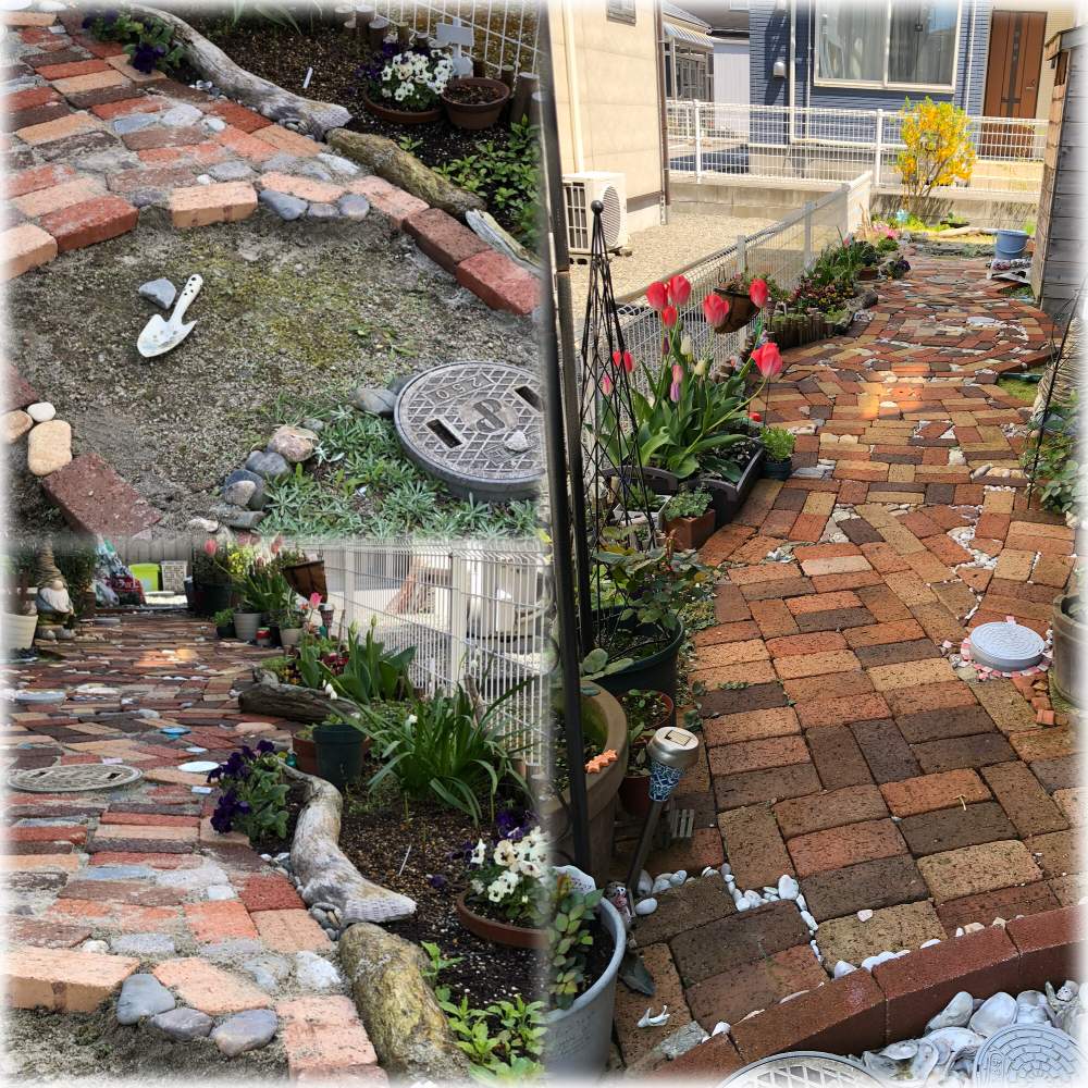 小さな庭の投稿画像 By Hiitanさん 春のガーデニングと庭 いじりと癒しの空間と楽しみとヽ ノたのしい と花のある暮らしと元気いっぱい と春のガーデニングと庭いじりと癒しの空間と楽しみとヽ ノたのしい と花のある暮らしと元気いっぱい