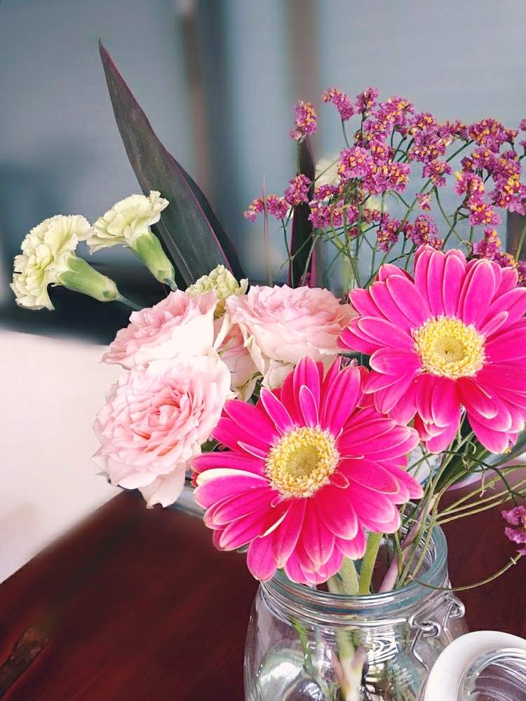 部屋の投稿画像 By Ringoさん 生花とピンクと花のある暮らしと ガーベラと切り花と生花とピンクと花のある暮らしと ガーベラと切り花 月4月28日 Greensnap グリーンスナップ Greensnap グリーンスナップ