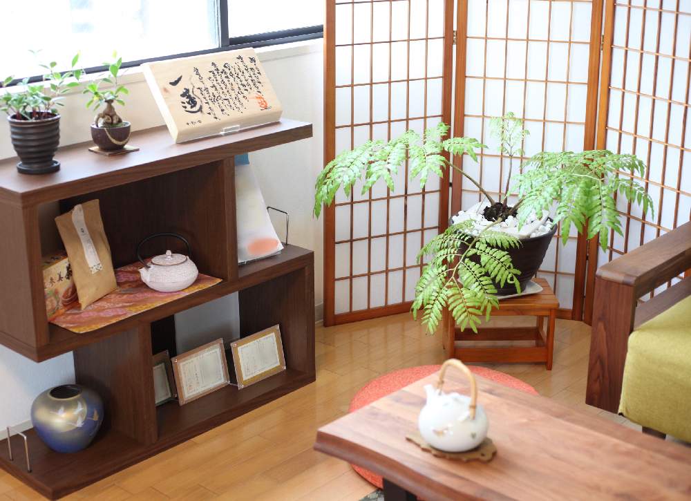 観葉植物の投稿画像 By Mikioさん インテリアグリーンと和モダンとリュウビンタイと和室と観葉植物とインテリアグリーンと和モダン 月4月28日 Greensnap グリーンスナップ Greensnap グリーンスナップ