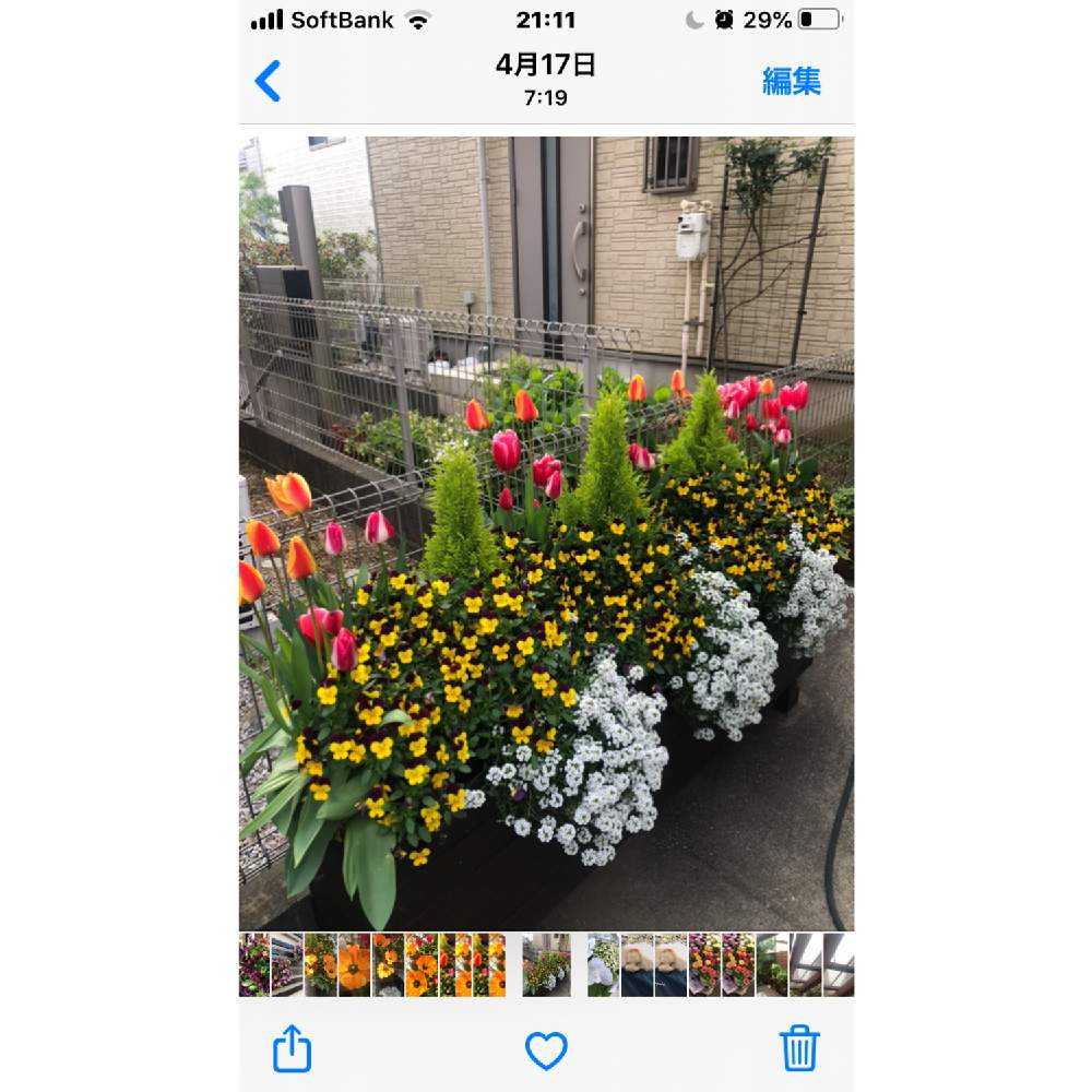 Iphoneで画像 盛ってます Greensnap グリーンスナップ