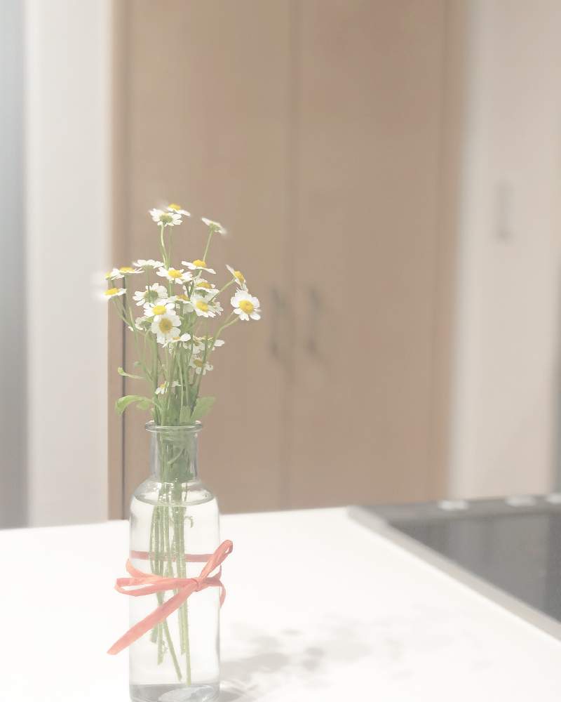 カウンターキッチンの投稿画像 By Yunaさん マイホームと花言葉とキッチンカウンターと花のある暮らしとお花と卓上 月4月29日 Greensnap グリーンスナップ