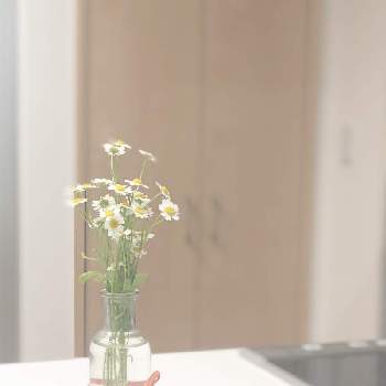 卓上の画像 by yunaさん | インテリアと名前を教えて！とカウンターキッチンとマイホームと花言葉とキッチンカウンターと花のある暮らしとお花と卓上