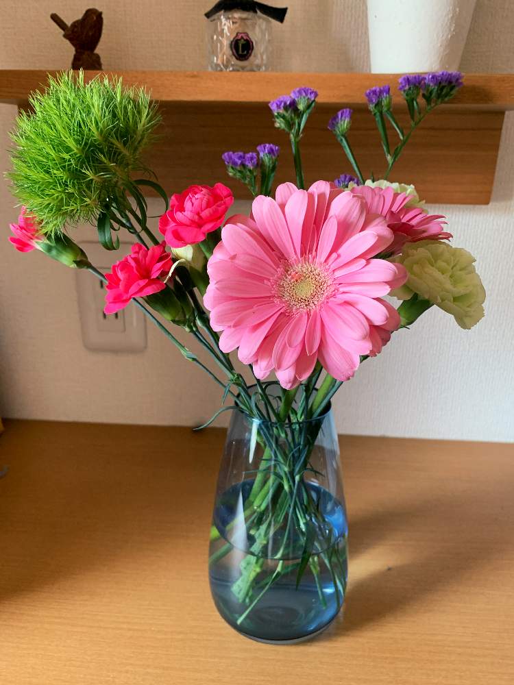 カーネーションの投稿画像 By Birdyyさん ガーベラとスターチスとテマリソウ 月4月29日 Greensnap グリーンスナップ