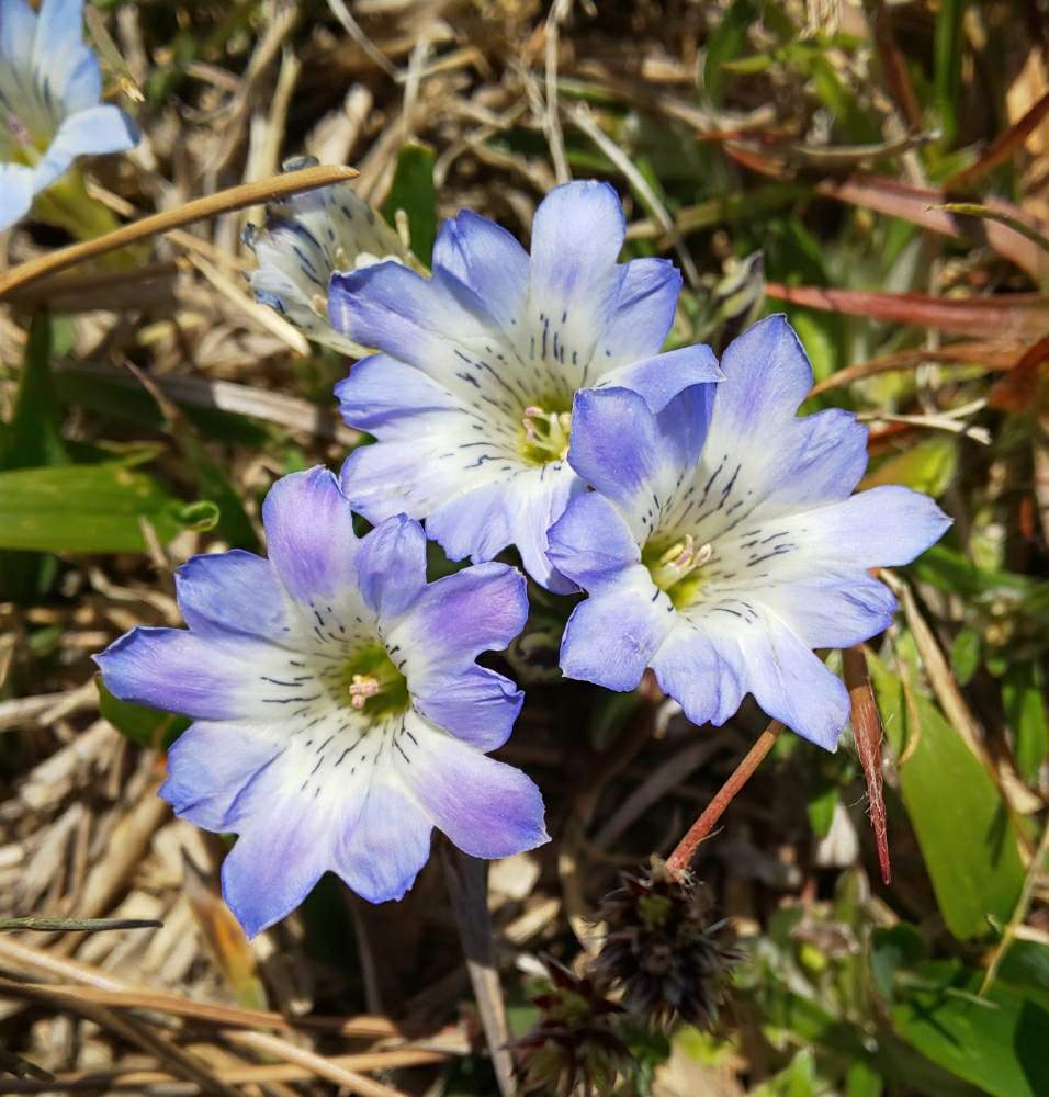 Dadfpmh61h9tr Cloudfront Net 04 29