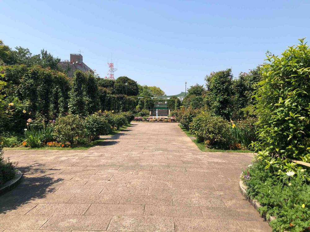 ピノ太郎さんの港の見える丘公園への投稿