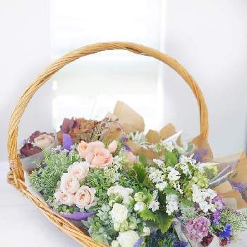 アロマフラワーの投稿画像一覧 Greensnap グリーンスナップ