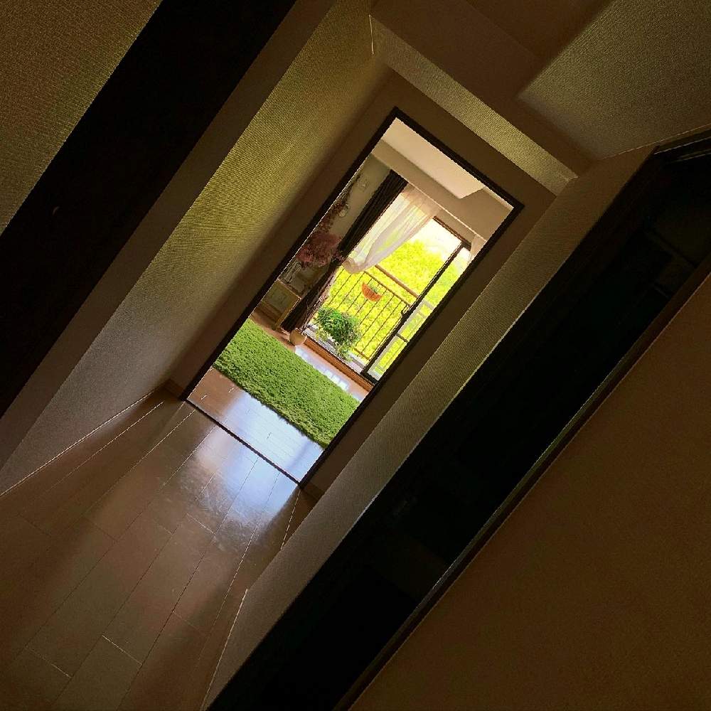 Gs映えの投稿画像 By Tenさん お家大好きと廊下とプロフからminneに飛べますとグリーンとお花のある暮らしと寝室の窓 と花のある暮らしとminneで活動中 と寝室の窓から見える景色とバルコニスト 月5月2日 Greensnap グリーンスナップ