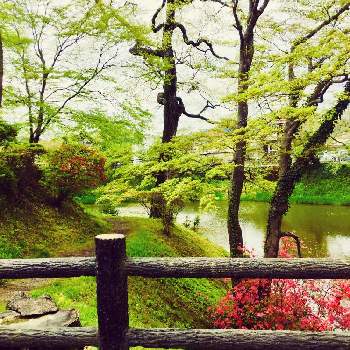 故郷の風景の画像 by コスモスちゃんさん | お出かけ先と故郷の風景と大好きな風景と❤️癒されてと新緑の５月と城跡のお掘り