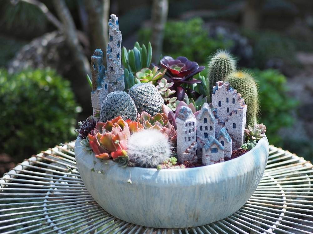 ミニチュアガーデンの投稿画像 By Kokoさん 小さな箱庭と おうち園芸 フォトコンテストとサボテンの寄せ植えと寄植えとフェアリーガーデン 月5月2日 Greensnap グリーンスナップ