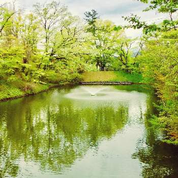故郷の風景の画像 by コスモスちゃんさん | お出かけ先と新緑の５月と城跡のお掘りと故郷の風景と癒しの風景と大好きな風景と❤️癒されて