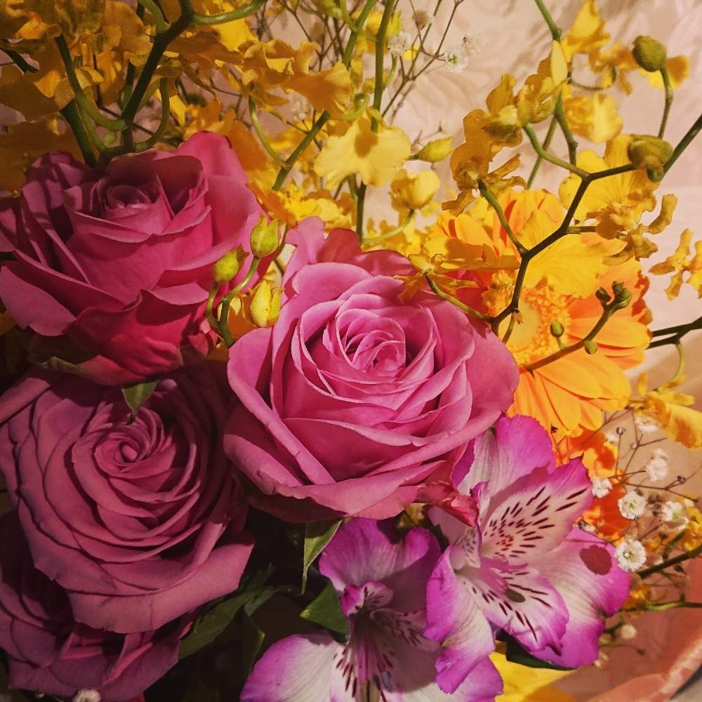 切り花を楽しむの投稿画像 By おうまさんさん ピンクとビタミンカラーと花のある暮らしとおしゃれ とオレンジと切り花と花束 月5月3日 Greensnap グリーンスナップ