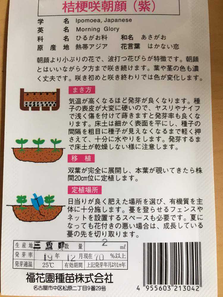 朝顔 桔梗咲朝顔 Greensnap グリーンスナップ