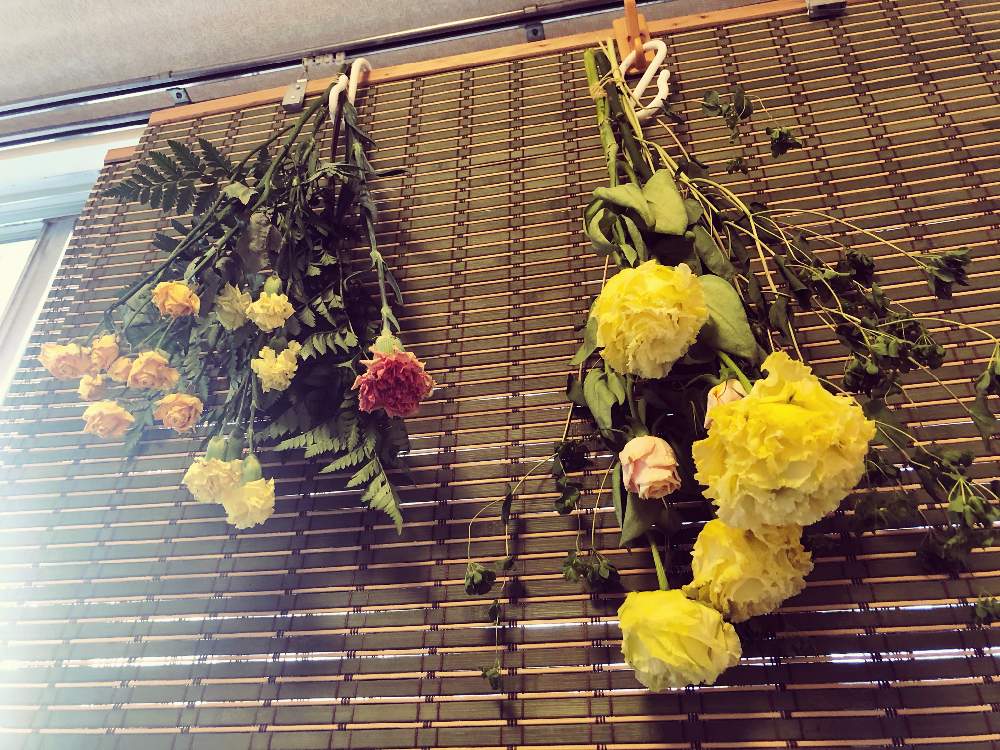 ドライフラワーの投稿画像 By なつさん 花束と花のある暮らしとばら バラ 薔薇とシダ植物とカーネーション 月5月4日 Greensnap グリーンスナップ