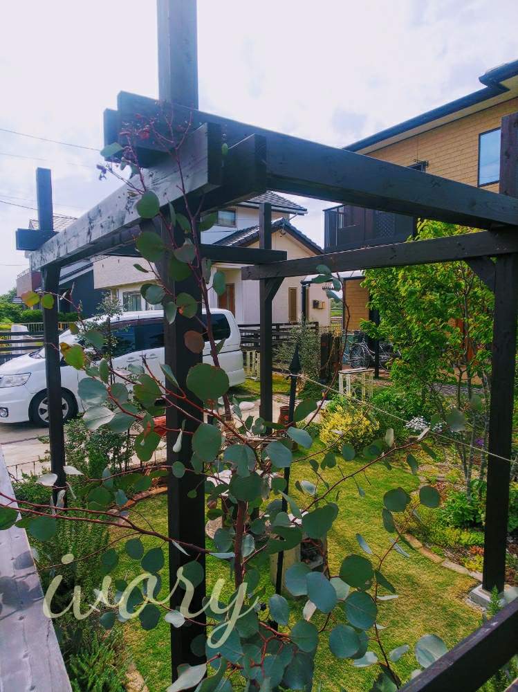 Diyパーゴラ Greensnap グリーンスナップ