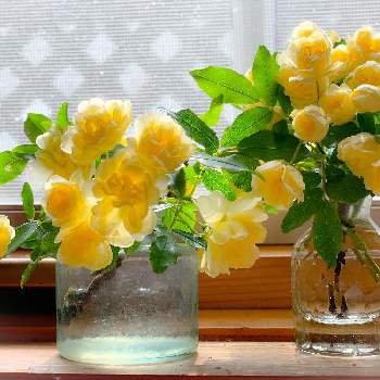 漢字表記好きの投稿画像一覧 Greensnap グリーンスナップ 漢字表記好きの投稿画像一覧 Greensnap グリーンスナップ