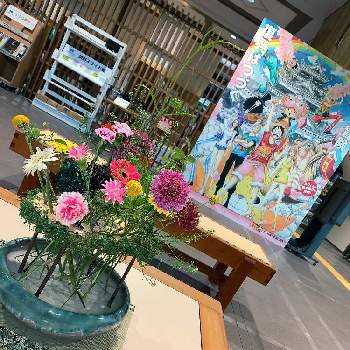 装飾の画像 by N2 中島農園さん | インテリアと『ひとてま込めて』2020とみどりのある暮らしとおもしろいと熊本と装飾と花・とイベントと生け込みと季節の花とplantsとフラワーアレンジメントと花のある暮らしとGREEN UP!とインテリアグリーン