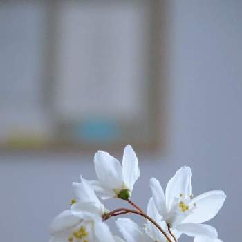 漢字表記好きの投稿画像一覧 Greensnap グリーンスナップ 漢字表記好きの投稿画像一覧 Greensnap グリーンスナップ