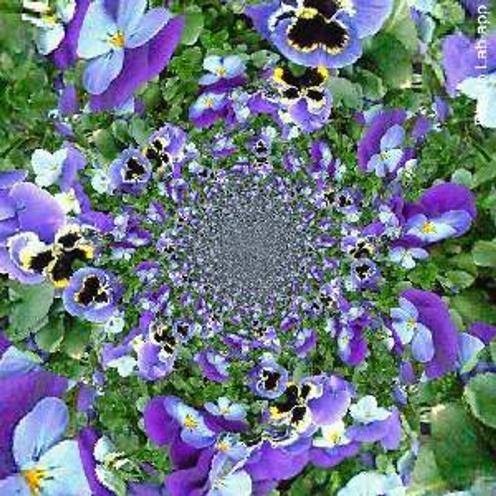 k57 プロフィール画像