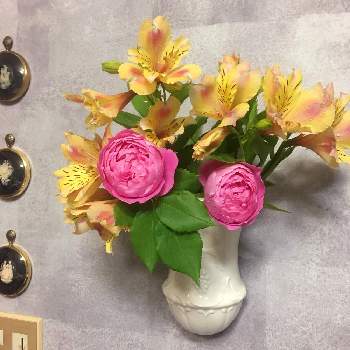 大阪府河内長野市の画像 by Rosy Cream @Rosesさん | バラの庭とつるバラの庭とバラアーチと子供料理教室とアルストロメリア達と薔薇に魅せられてと河内長野市と薔薇の庭とバラに囲まれた料理教室とバラに埋もれると大阪府河内長野市と大阪府とバラ栽培と料理教室と花のある暮らしとバラのアレンジメントと我が家のバラとロザリアンとバラのおもてなし