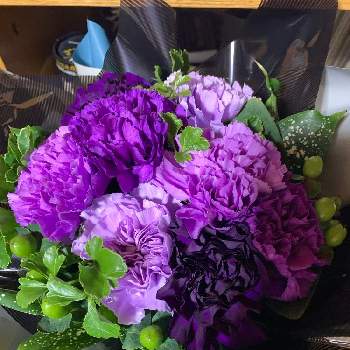 紫のカーネーションの画像 by taesaiさん | 部屋とカーネーション♡と紫のカーネーションと花のある暮らしとチーム福岡と母の日とカーネーション ムーンダスト♡