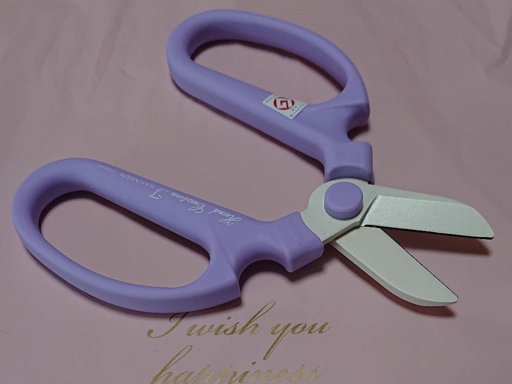 母の日の投稿画像 By ちいさんさん ガーデニンググッズとおうち園芸とプレゼント 月5月10日 Greensnap グリーンスナップ