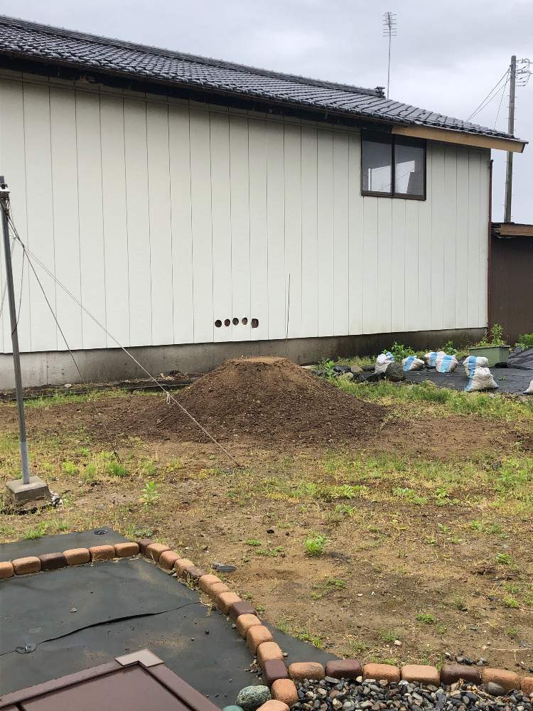 クラピアの投稿画像 By カトさん 新潟と芝生の代わりと築山 月5月10日 Greensnap グリーンスナップ