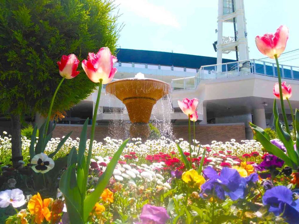 【公式】ガーデンネックレス横浜さんの山下公園への投稿