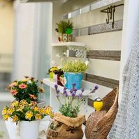 多肉初心者,多肉棚DIY,ごめんね,❤️いいね、ありがとう,フォロワーさん(*´∀｀)ﾉ ありがとぅ♪の画像