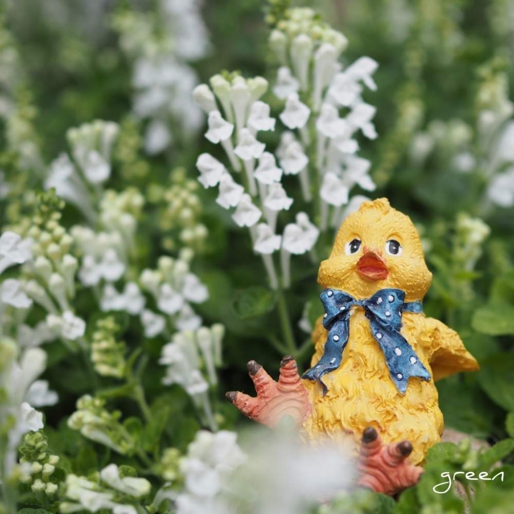 陽だまりの投稿画像 By Green さん 幸せなひとときと暮らしを楽しむと小さな幸せ と小さなお花畑 と花のある暮らしとかわいいな と優しい気持ち とはなあそび 月5月11日 Greensnap グリーンスナップ