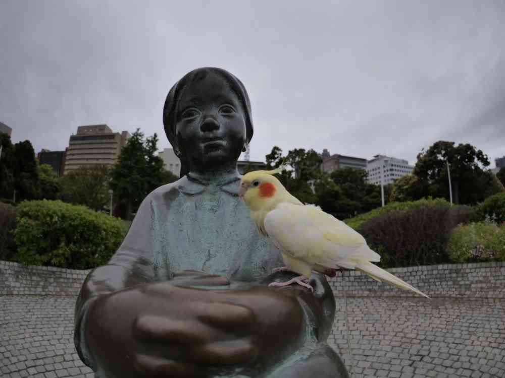 ゆず花さんの山下公園への投稿