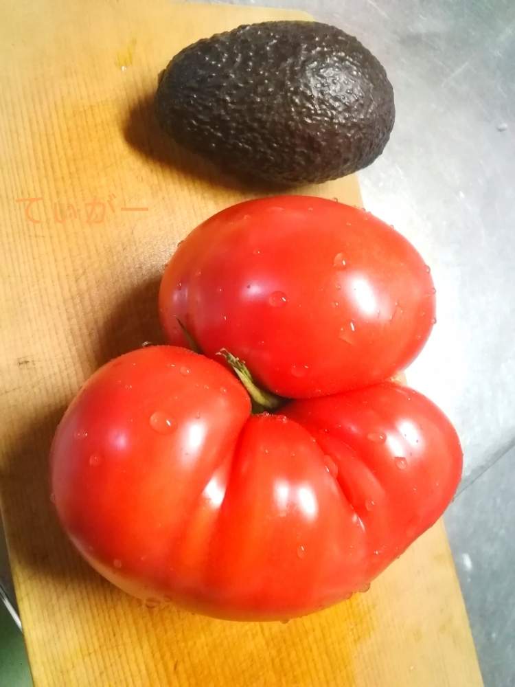 アボカドの投稿画像 By てぃがーさん トマト とあっ火曜日と最前線のあなたへと負けないで と変わった形が好きとコロナに負けるな と接写が好きとシンプルが好きと植物好きとお野菜の世界と面白い形と花のある暮らしと自然の不思議 月5月12日 Greensnap