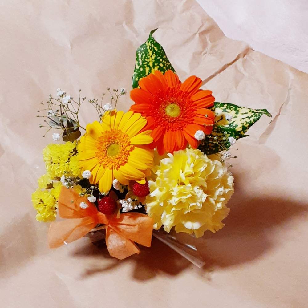 カーネーションの投稿画像 By 雪さん ガーベラとスターチスとユーカリとかすみ草とゴット 月5月12日 Greensnap グリーンスナップ