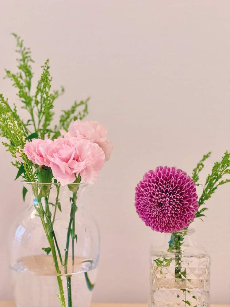 ピンポンマムの投稿画像 By Izuminさん スプレーカーネーションと花瓶と花のある暮らしと切り花を楽しむ 月5月13日 Greensnap グリーンスナップ