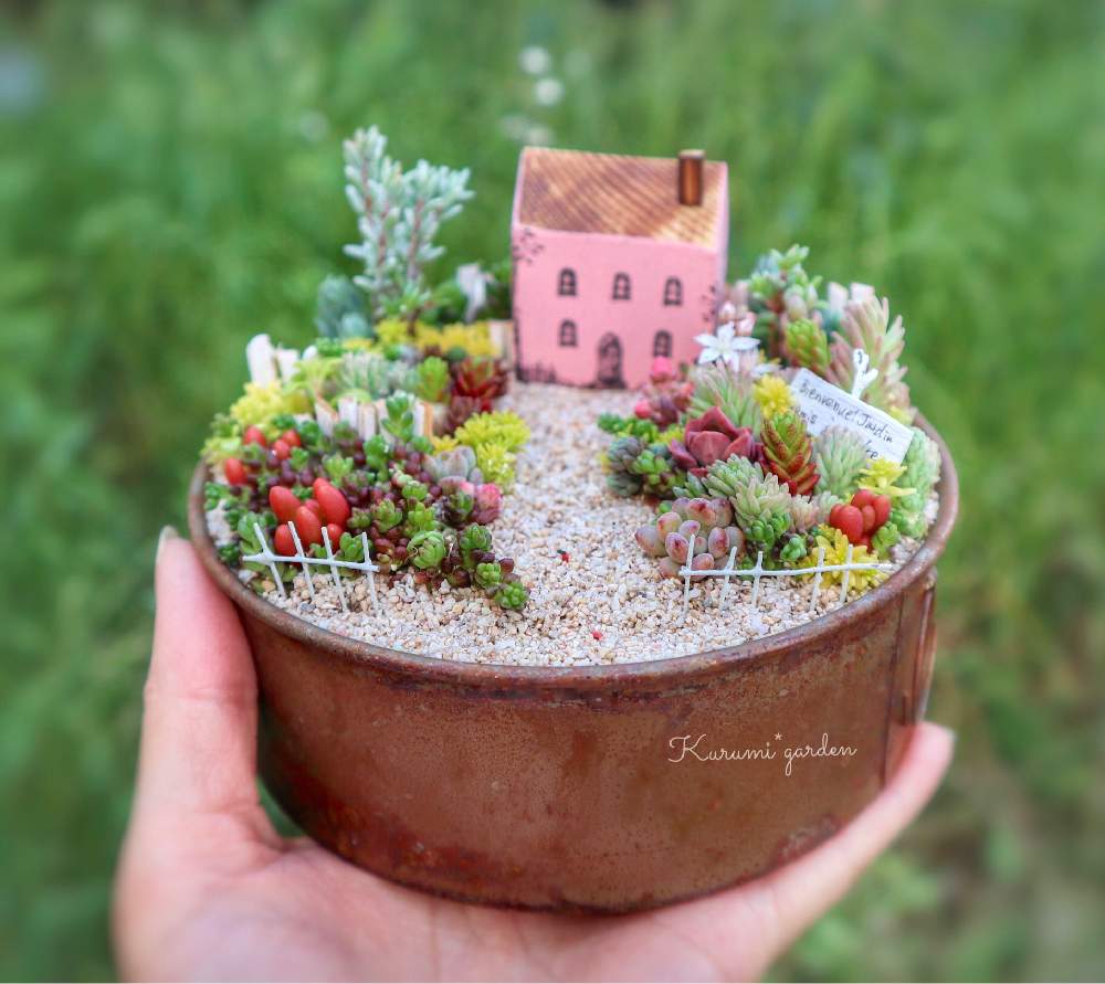 多肉植物の寄植えの投稿画像 By くるみ さん 多肉植物 寄せ植えと箱庭と箱庭 多肉植物と ひとてま込めて とミニチュアガーデンと箱庭作りとkurumi Gardenとハンドメイド作品とオンラインショップと多肉植物のある暮らしとおうち園芸とくるみガーデンとおやゆび姫の