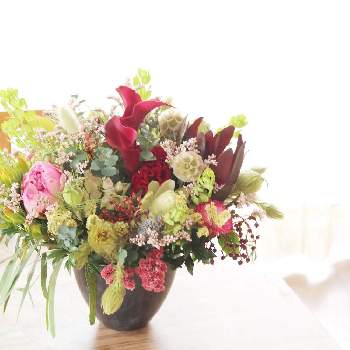 花や蔦ひつじの投稿画像一覧 Greensnap グリーンスナップ