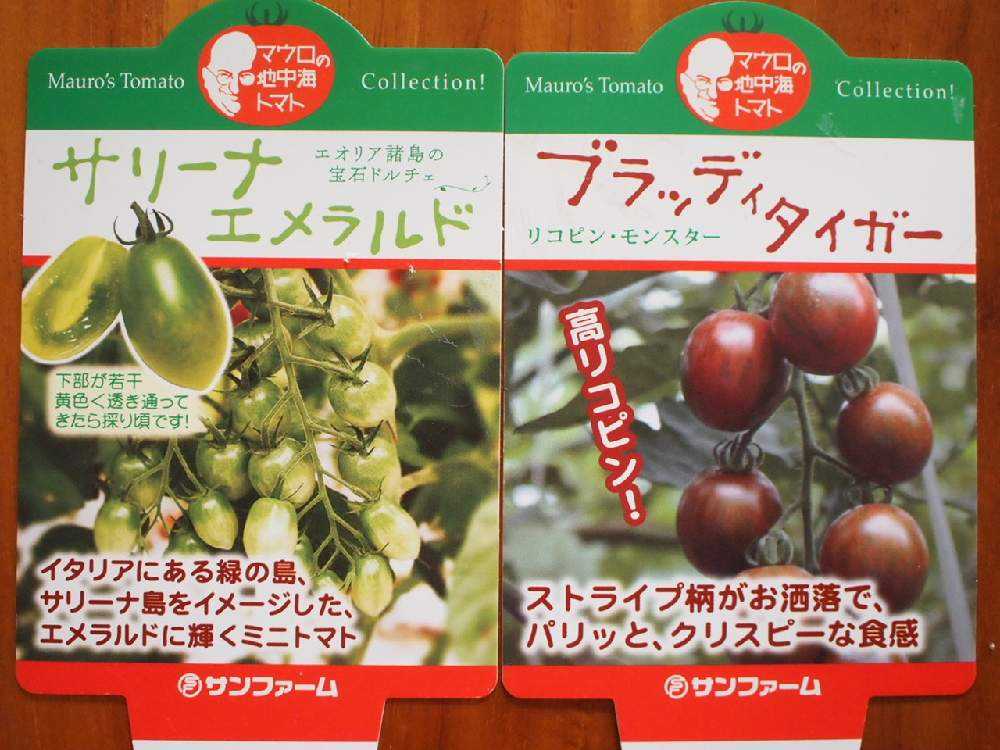 夏野菜ポタジェの記録 Greensnap グリーンスナップ