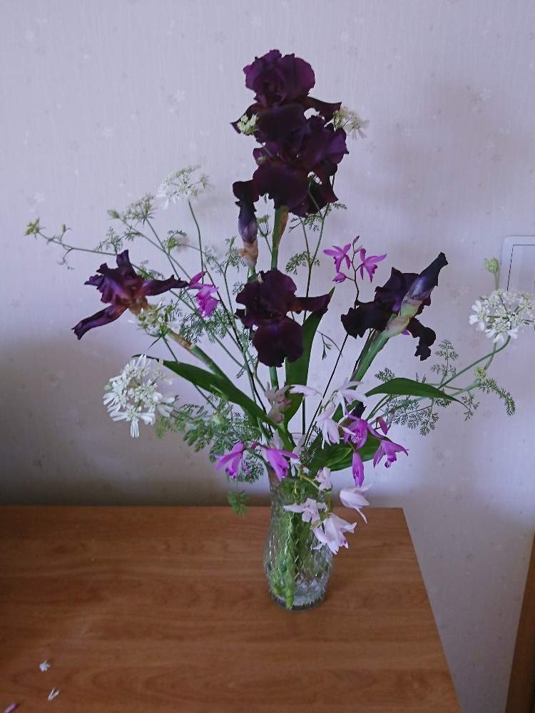 花のある暮らしの投稿画像 By カリメロさん おうち園芸とおうちで飾るお花 月5月15日 Greensnap グリーンスナップ