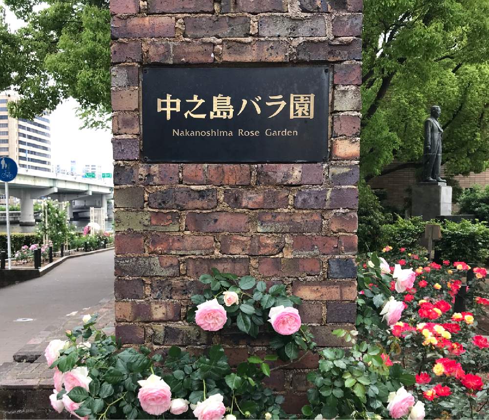 中之島バラ園 春 Greensnap グリーンスナップ