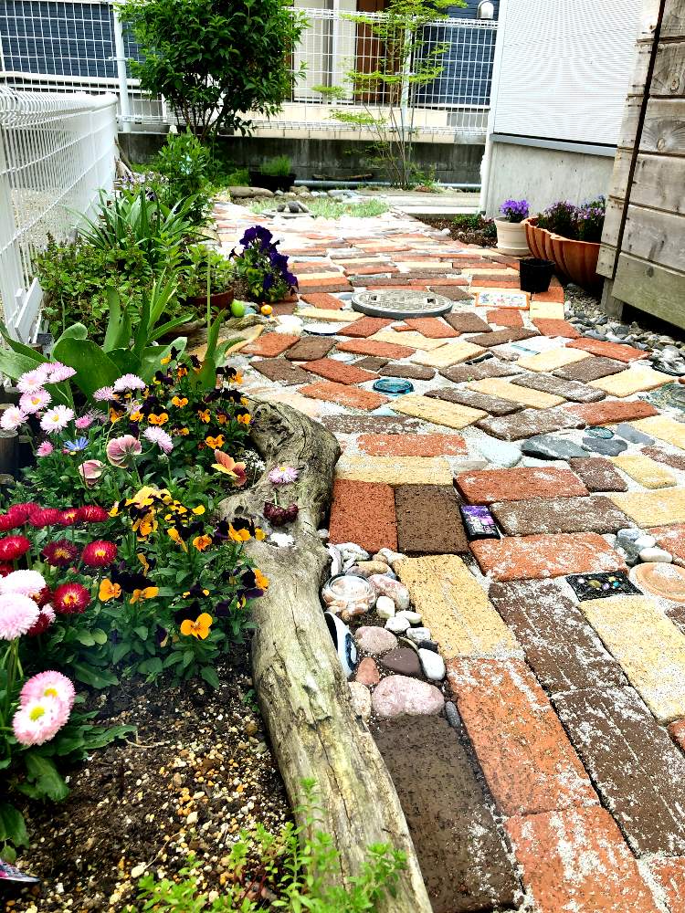 可愛い の投稿画像 By Hiitanさん 頑張りましょう ๑ ᴗ と庭いじりと癒しの空間と元気もらえると ᴗ و がんばれーとヽ ノたのしい とpwフォトコン 月5月15日 Greensnap グリーンスナップ