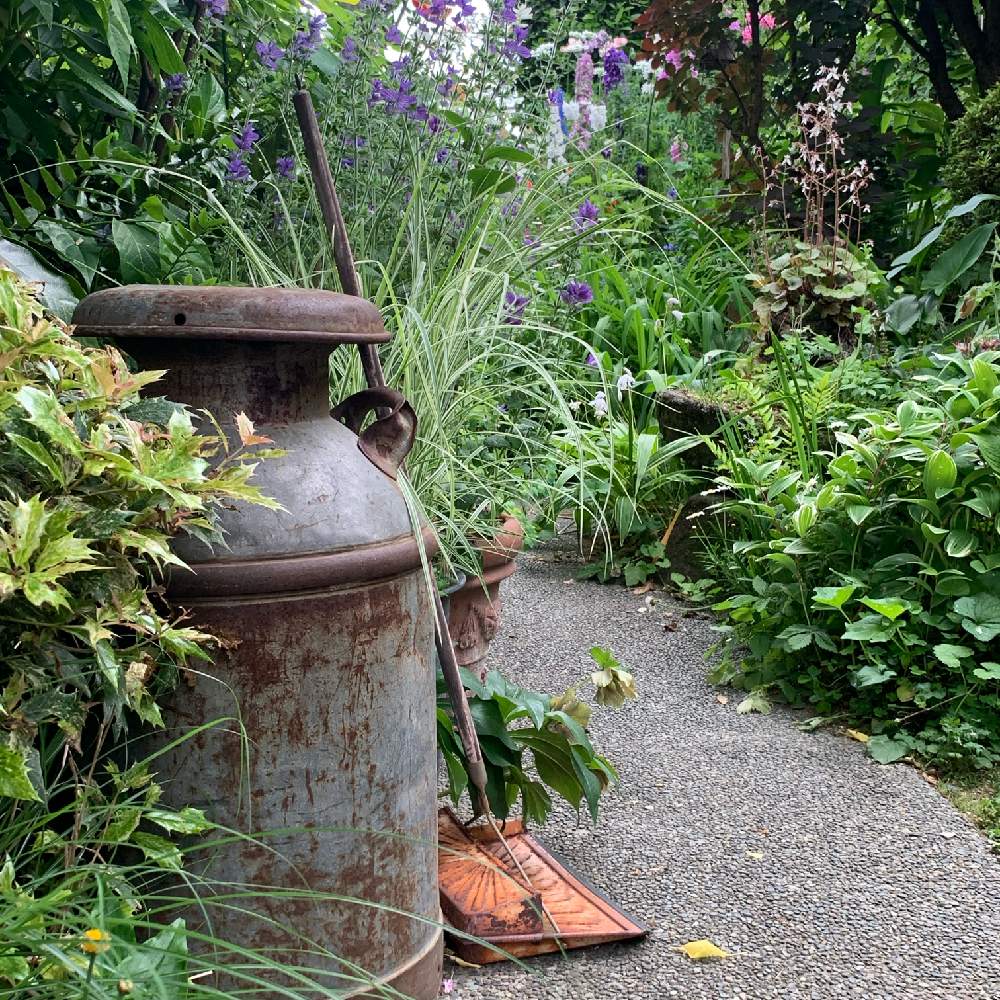 ガーデニングの投稿画像 By ターチャさん ガーデングッズとおうち園芸 月5月16日 Greensnap グリーンスナップ